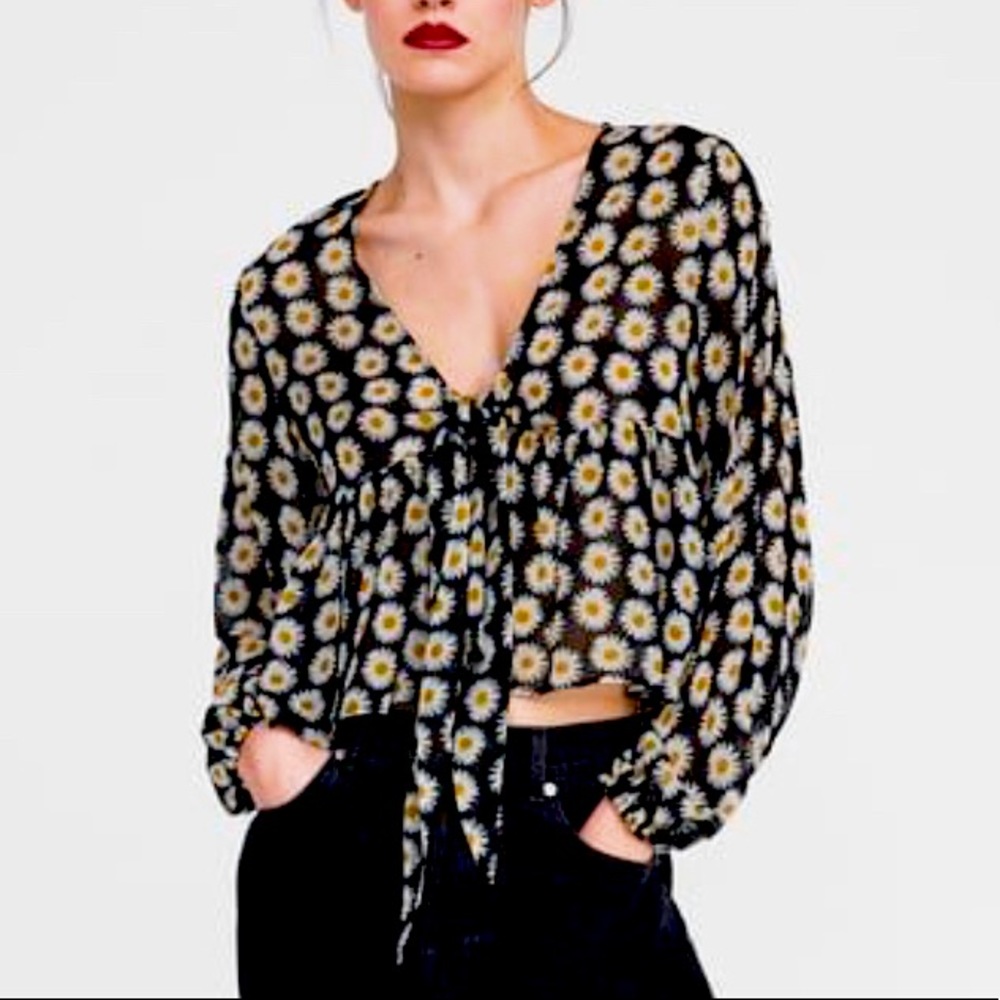 Daisy sheer blouse by Zara